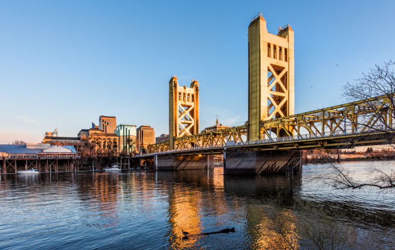 Gold Tower Bridge in Sacramento California during blue sunset with downtown and goose on floating log